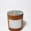 Sand Fog Guava Mango 21 oz scented candle