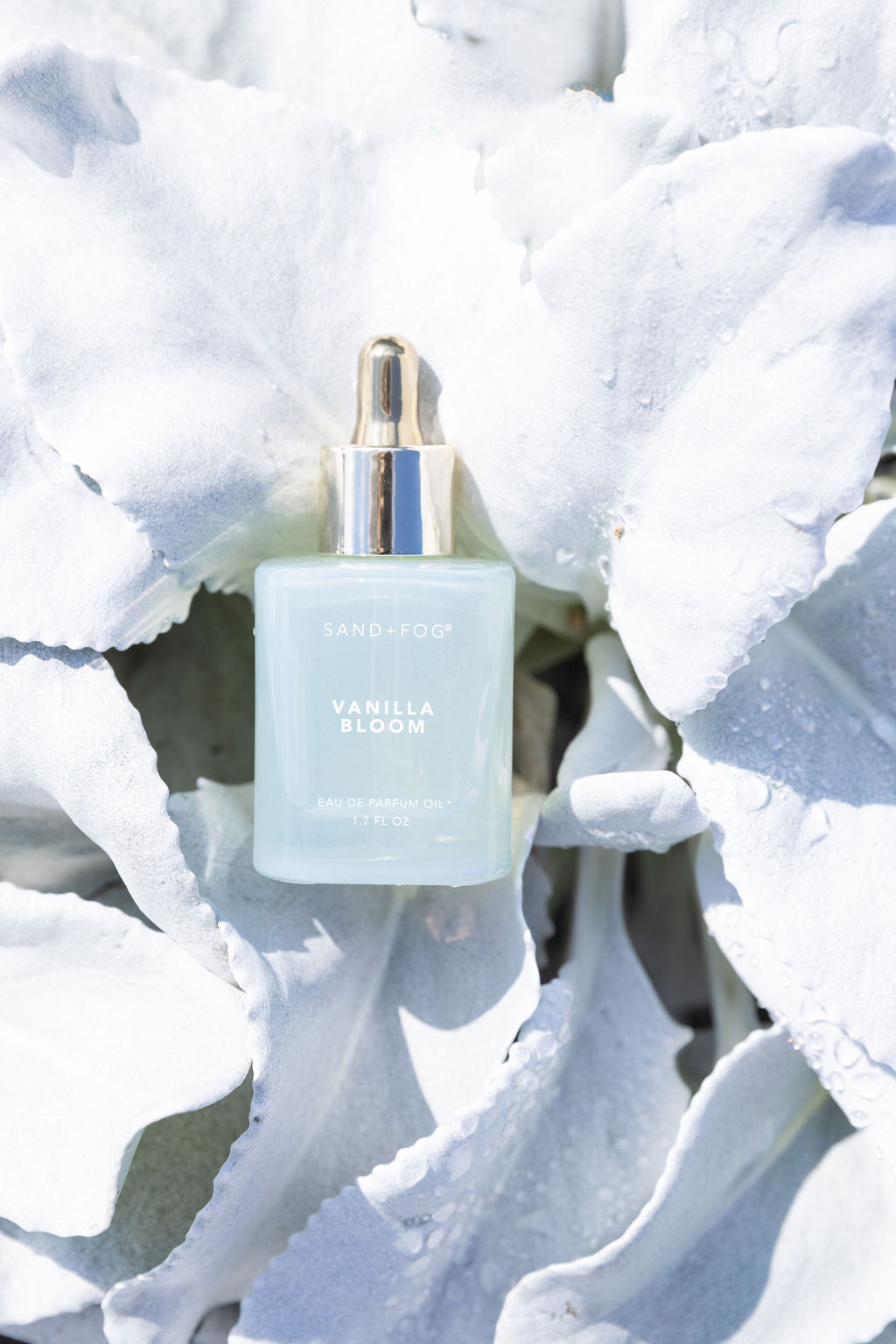 Sand Fog Vanilla Bloom 50 ml Perfume Oil Dropper - Image 4
