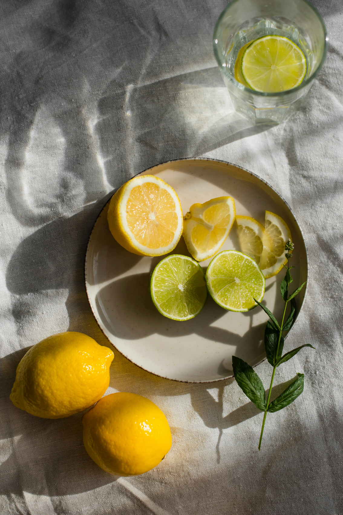 Sand Fog Sand + Paws Limoncello 12 oz scented candle - Image 2