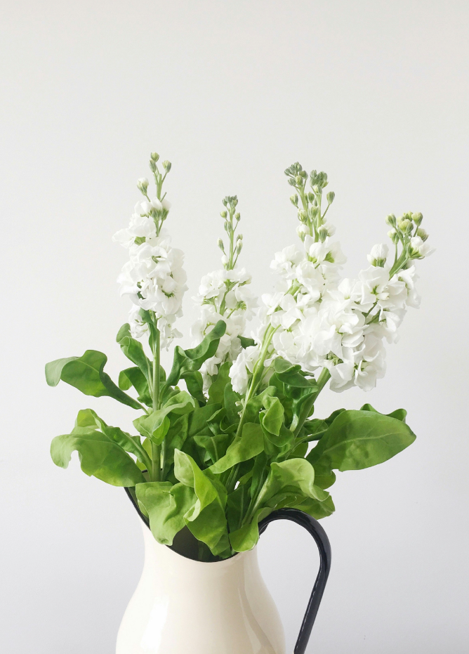 Sand Fog White Flowers 12 oz scented candle - Image 2