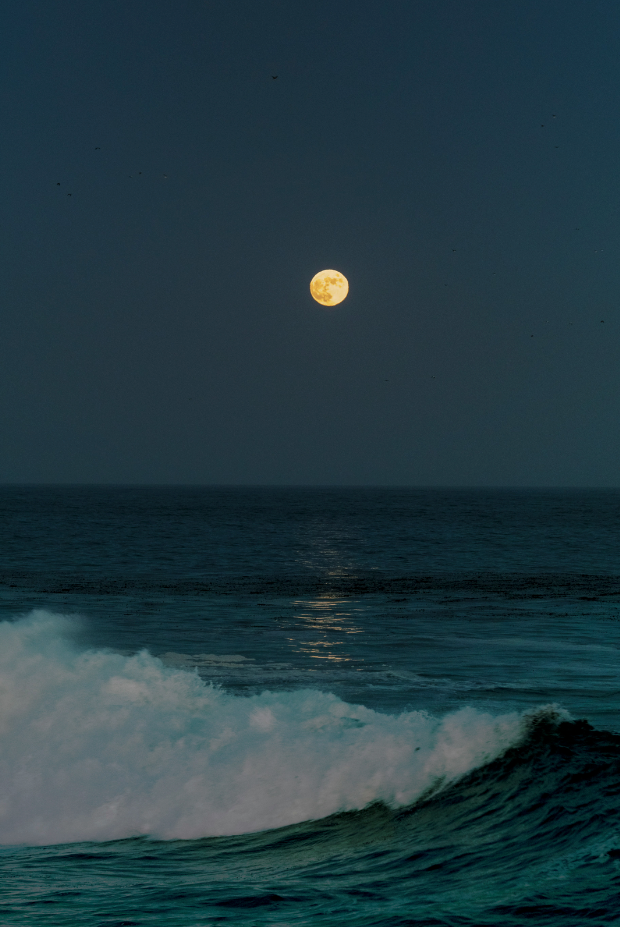 Sand Fog Tides of the Moon 12 oz scented candle - Image 2