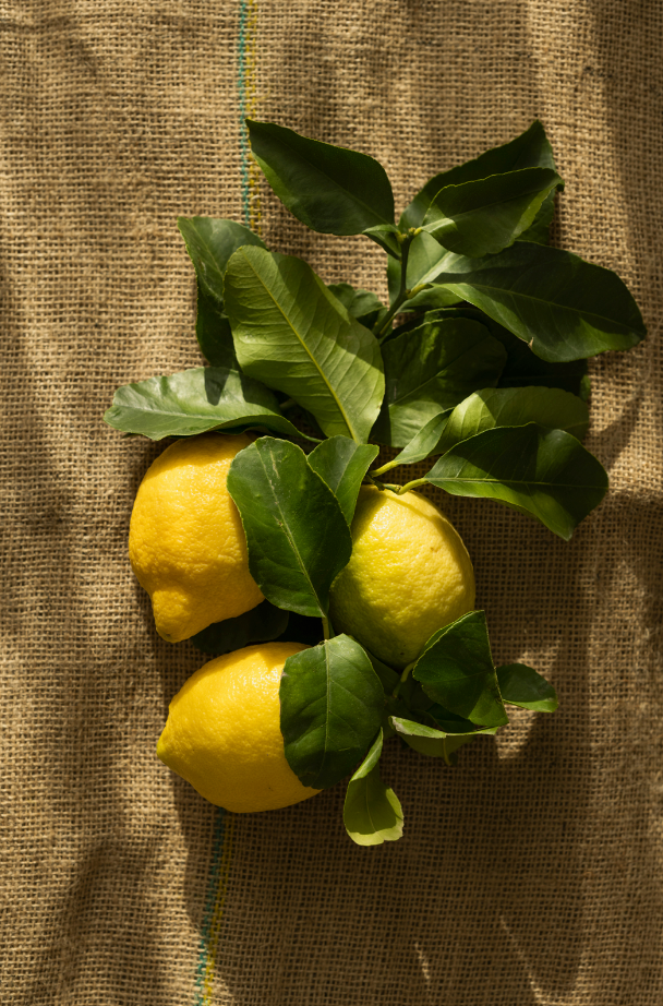 Sand Fog Olive Lemon 12 oz scented candle - Image 2